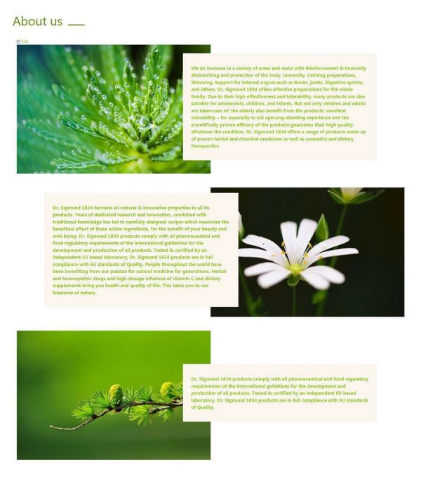 Dr. Sigmund - Wordpress Theme